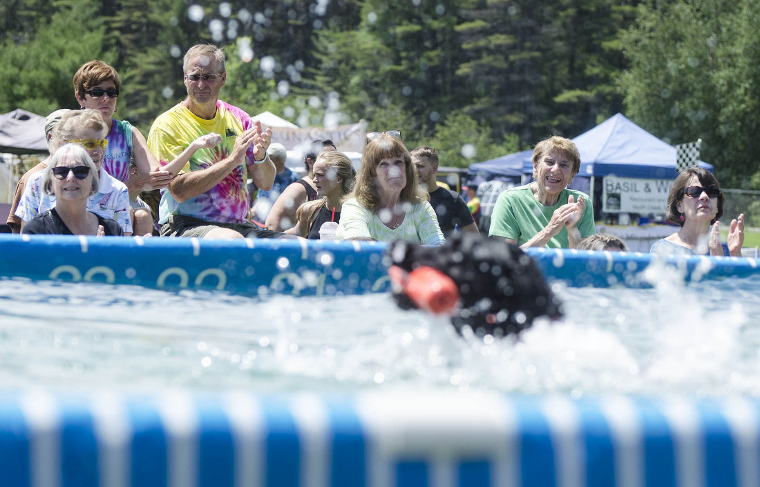 062215-nws-woofstock12.jpg